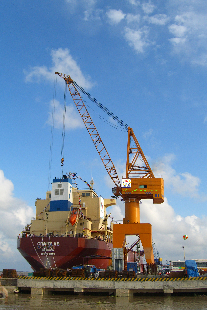 CẨU CHÂN ĐẾ